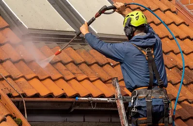 Démoussage et hydrofuge de toiture à Vauxtin